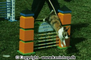 Karla jumps the city gate in Horsens.