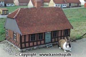 Karla i Fredericia miniby.